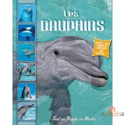 Livre enfant dauphins photos animaux marins poster offert