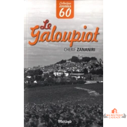 Livre galoupiot roman enquête sancerre berry trésor histoire