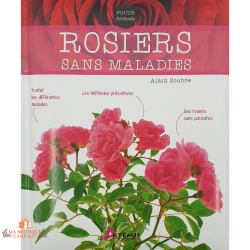 Rosiers sans maladies