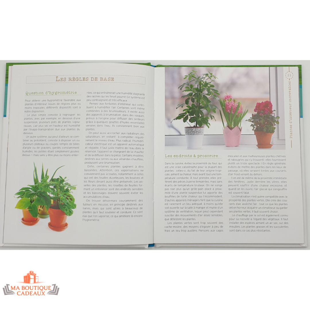 Plantes d'intérieur — horticolor